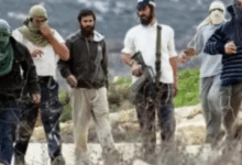مستوطنون يهاجمون منزلا في مادما جنوب نابلس